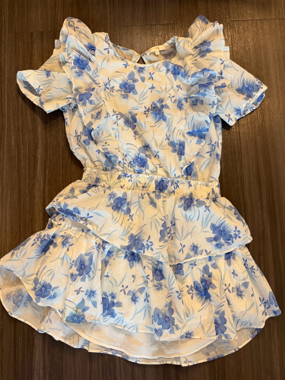 Loveshack fancy mini dress